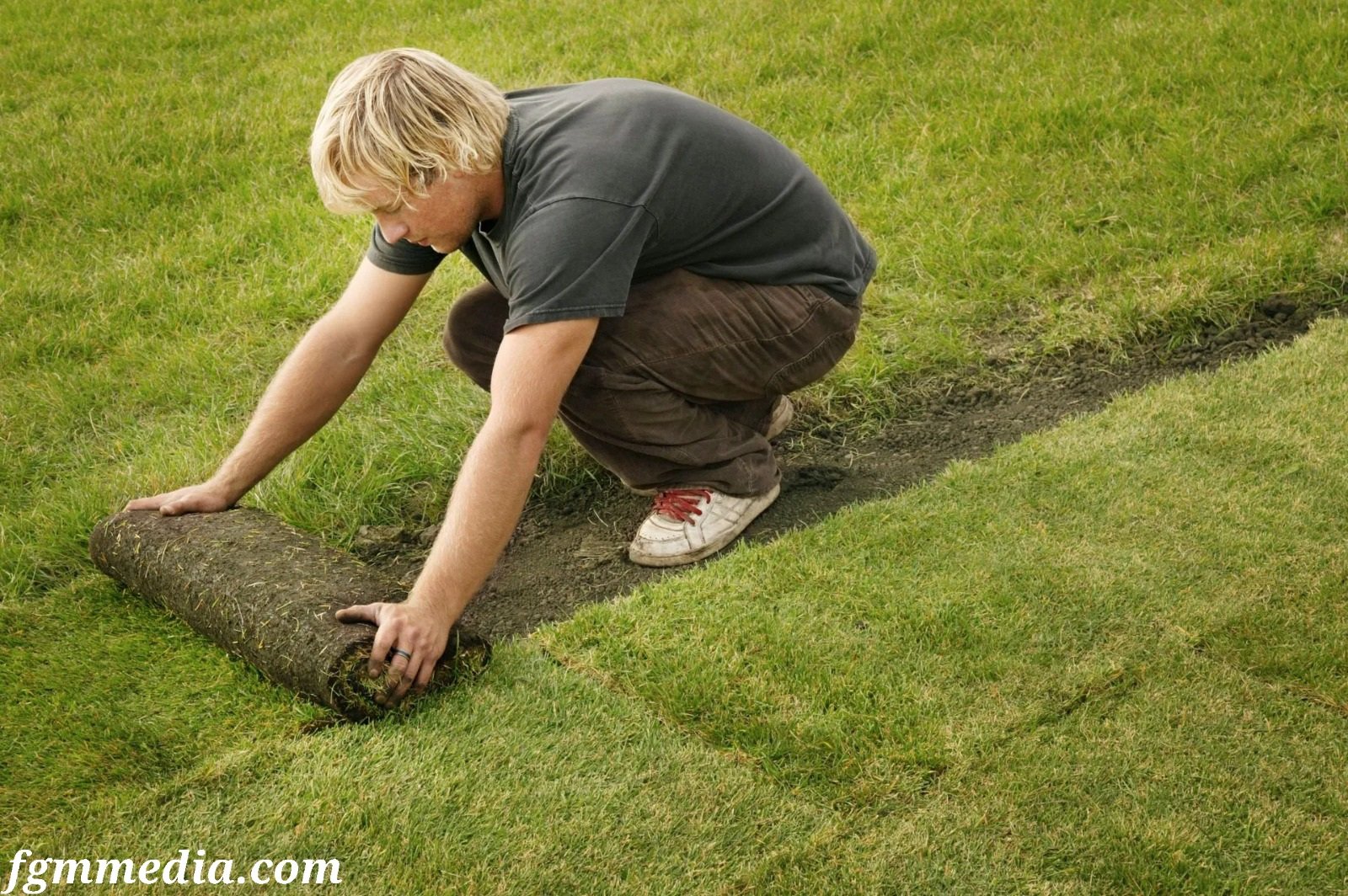 Top 5 Reasons to Work with a Commercial Sod Supplier in Tampa
